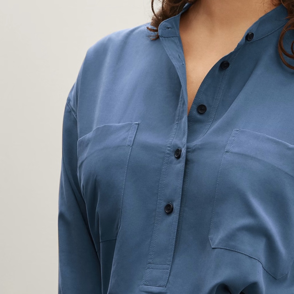 Everlane Washable Silk Henley
